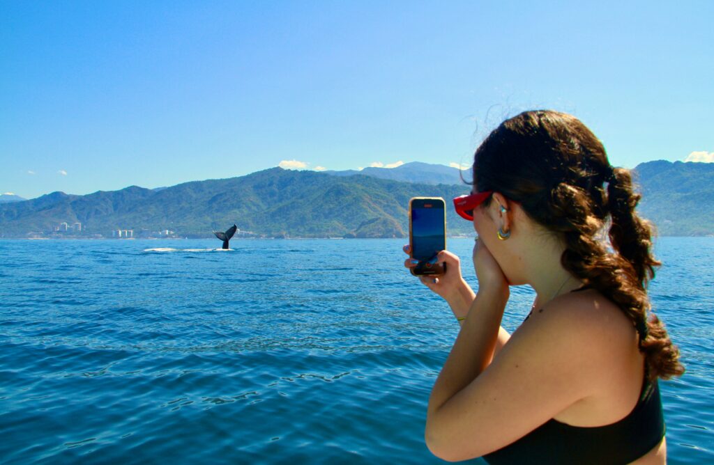 the best whale watching tour in Puerto Vallarta