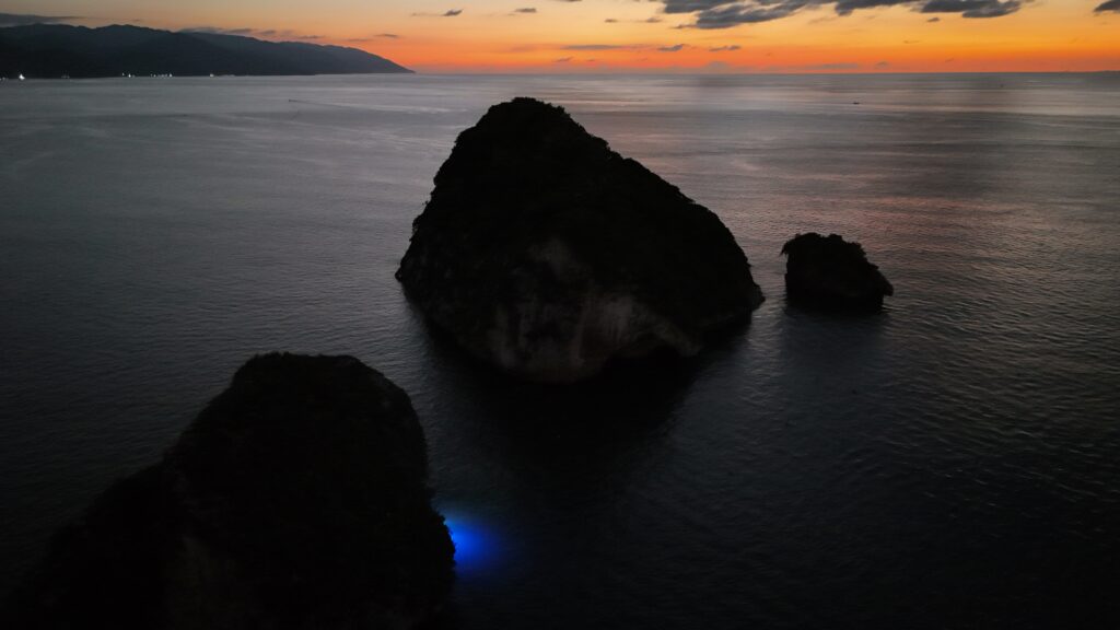 Where to See Bioluminescence in Puerto Vallarta
